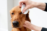 Aloe Vera Eye Wipes for Cleaning Dogs & Cats - Extra Large - Pack of 120  Pet Wiz   