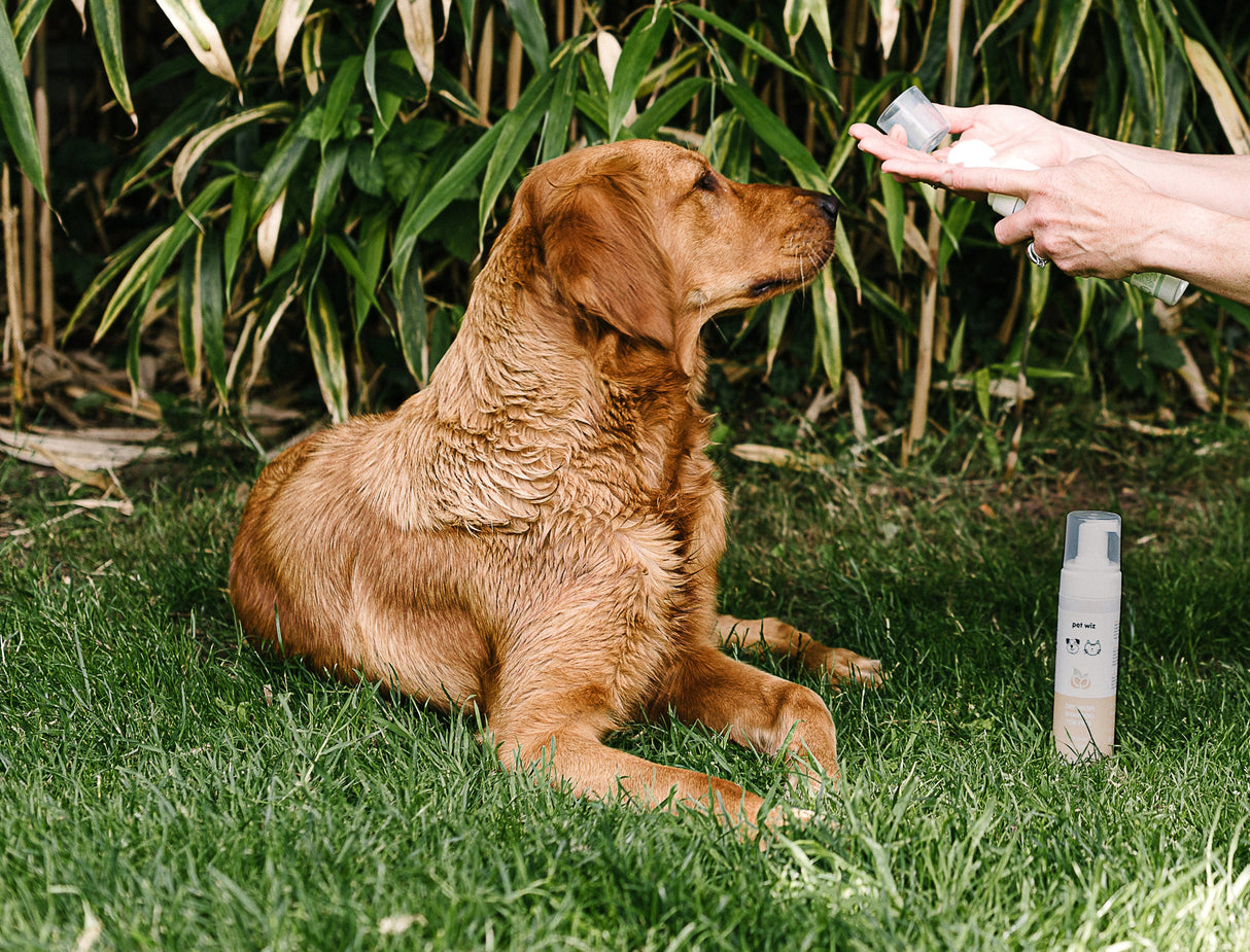 Dry Wash Shampoo for Pets – Soothing & Deodorising.  Pet Wiz   