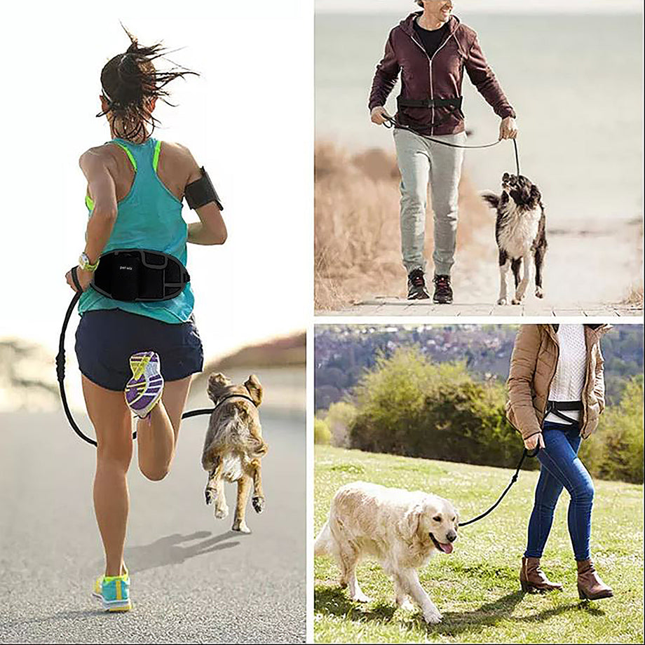 Hands free lead for dogs sale