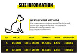 Geometric Collar, Lead, Harness Collars, Leads & Harnesses Pet Wiz   