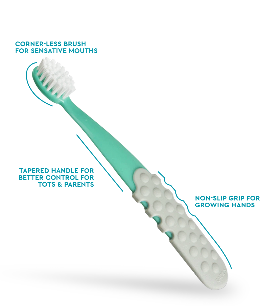 Radius Totz Plus Brush (3 Years +)  Radius Green w/ Cool Grey Grip  