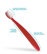 Toothbrush, Totz Brush 18 Months+ (Assorted Colours) Toothbrush RADIUS   