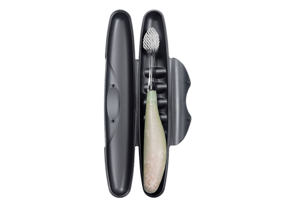 Standard Toothbrush Case  RADIUS   