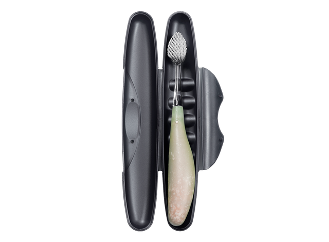 Standard Toothbrush Case  RADIUS   