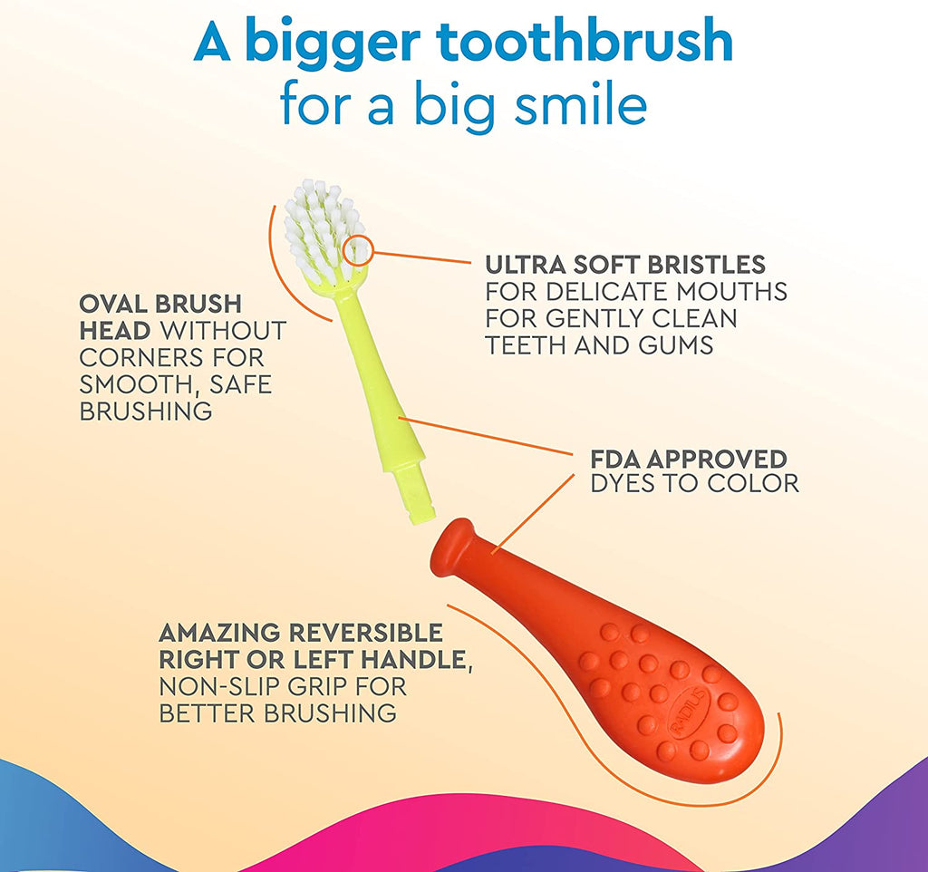 Big Kidz Forever Brush Replacement Heads (2 Pack) Toothbrush Head RADIUS   