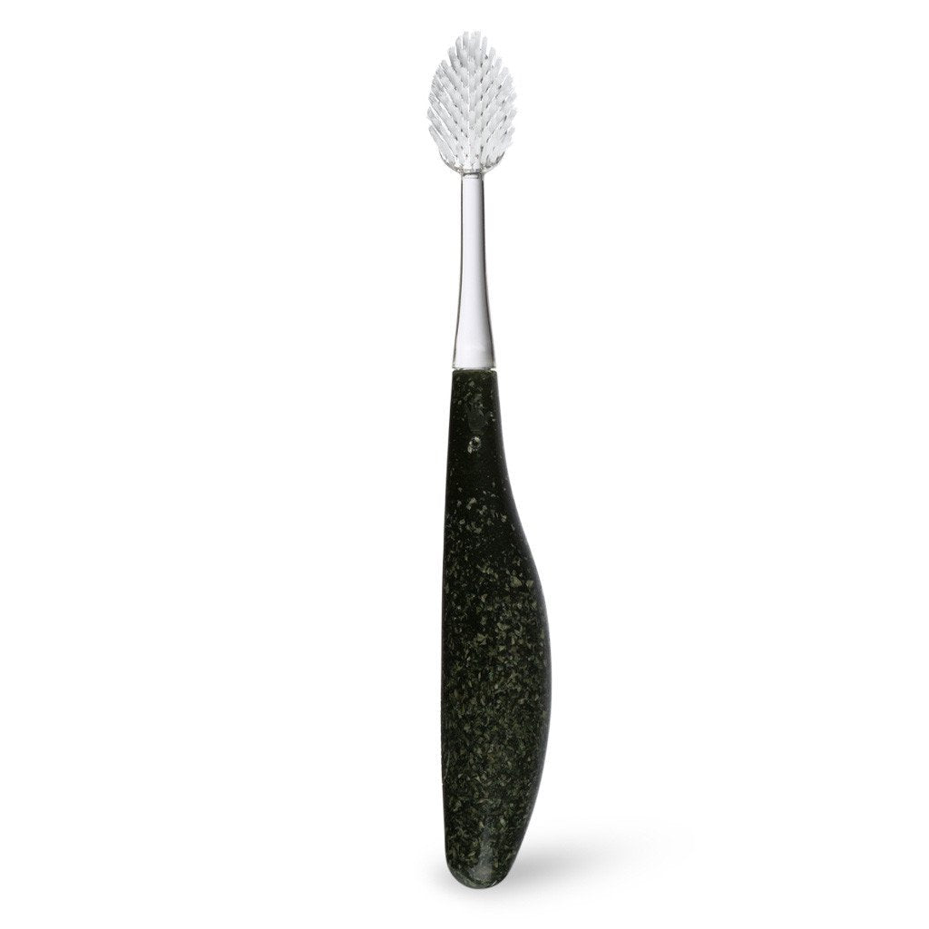 Source Toothbrush with Replaceable Heads Toothbrush RADIUS Currency Soft 