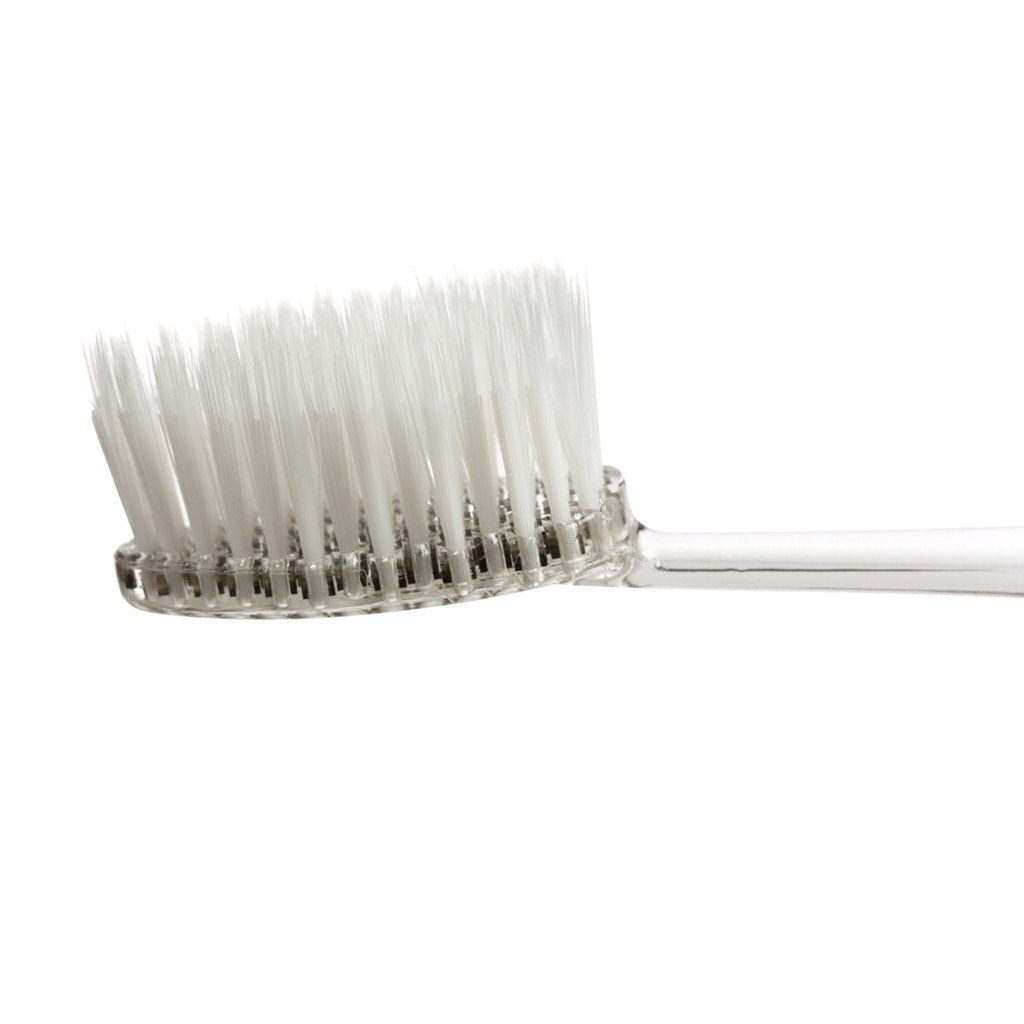 Brush Head Replacements (2 Pack) Toothbrush RADIUS Floss  
