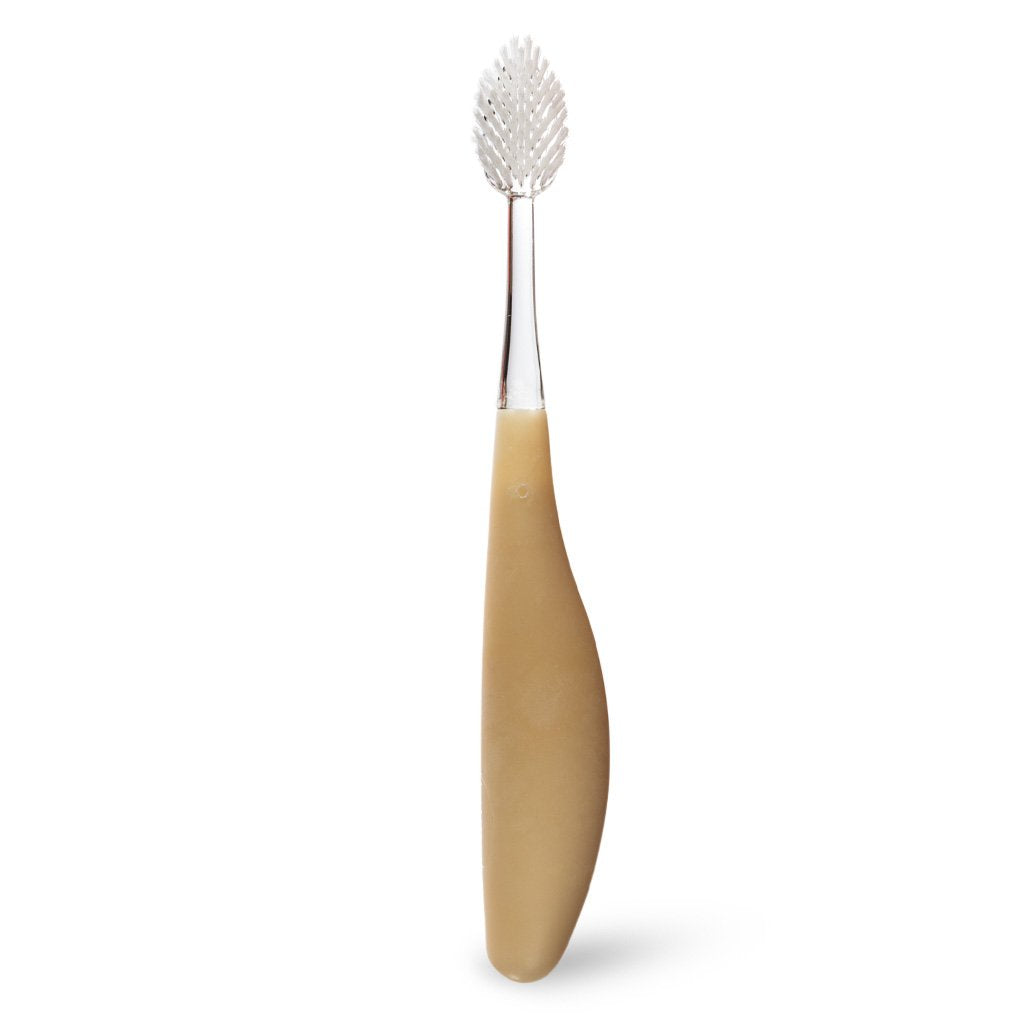 Source Toothbrush with Replaceable Heads Toothbrush RADIUS Starch Soft 