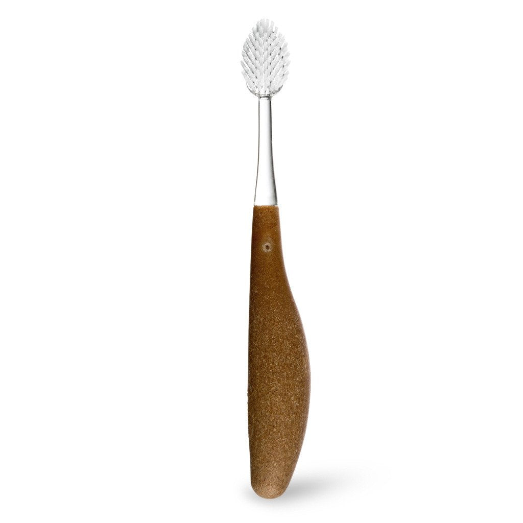 Radius Source Toothbrush with Replaceable Heads Toothbrush Radius Wood Soft 